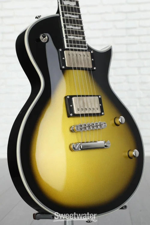 ESP LTD BK-600 Bill Kelliher Signature Electric Guitar – Vintage Silver Sunburst