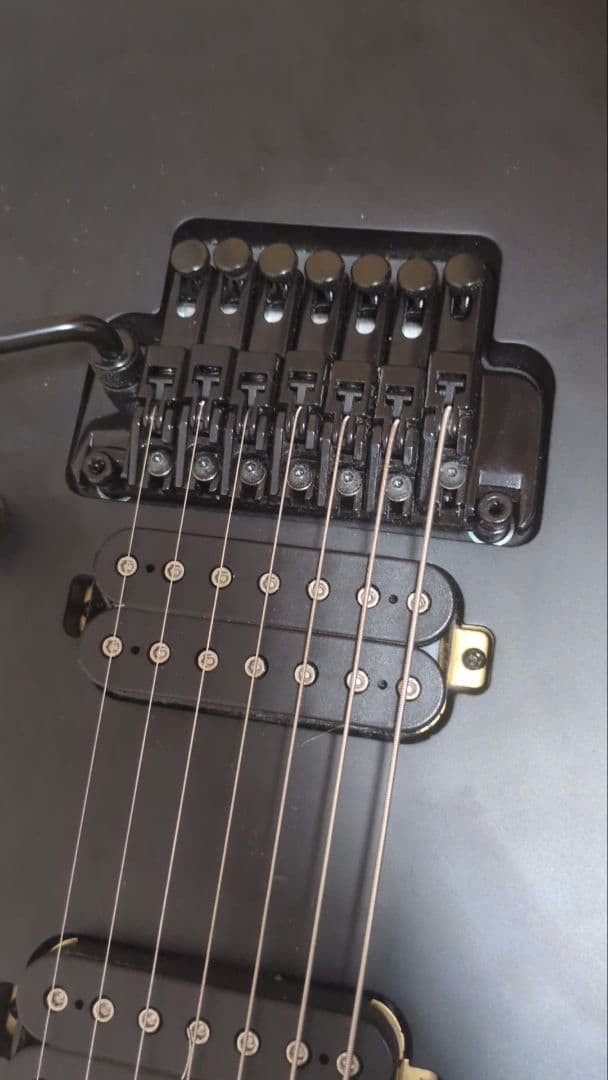 Ibanez RG7420EX-BKF 7-String Guitar