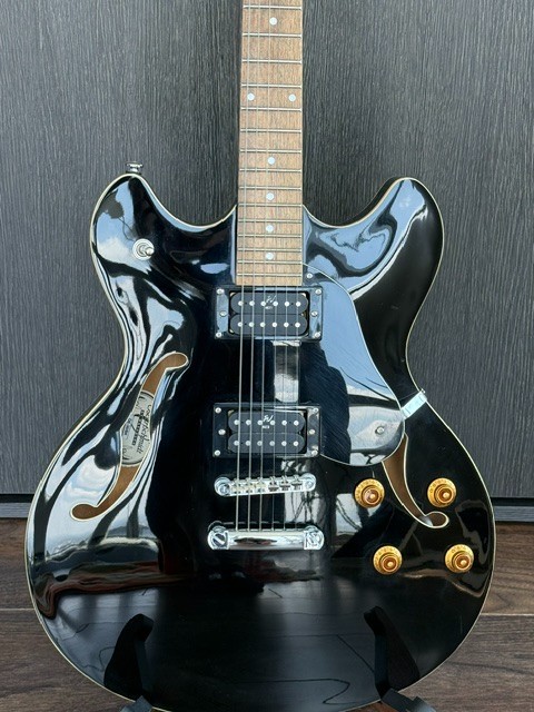 Oscar Schmidt OE30 Semi-Hollow Electric Guitar w/Hard Case Excellent Condition!