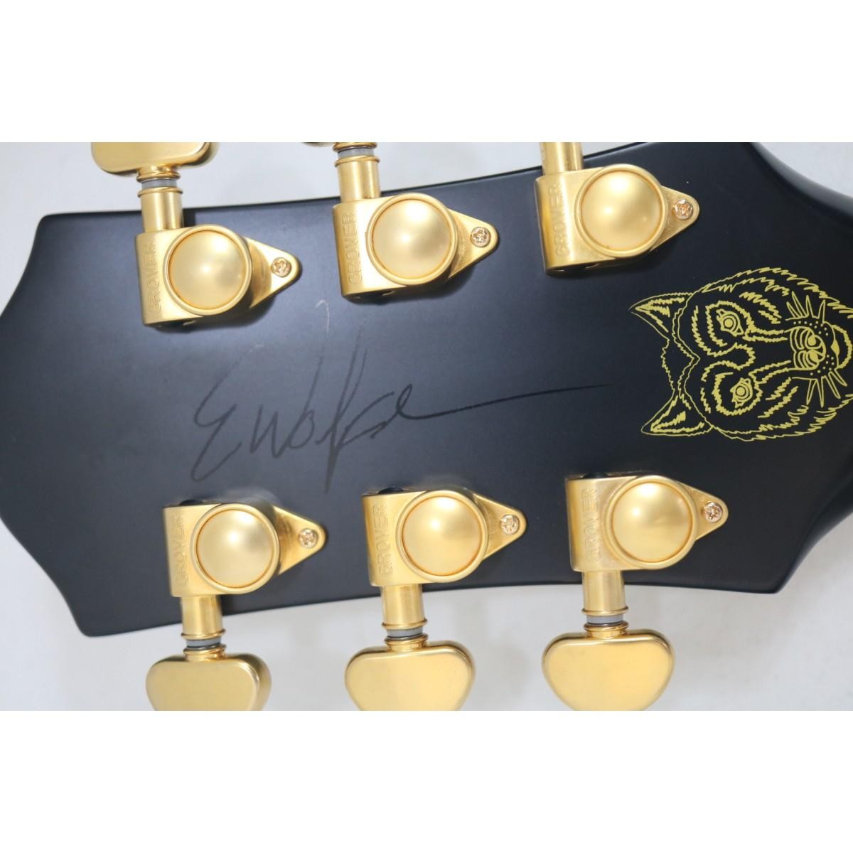 Authentic EPIPHONE EMILY WOLFE SHERATON #270-004-363-4252