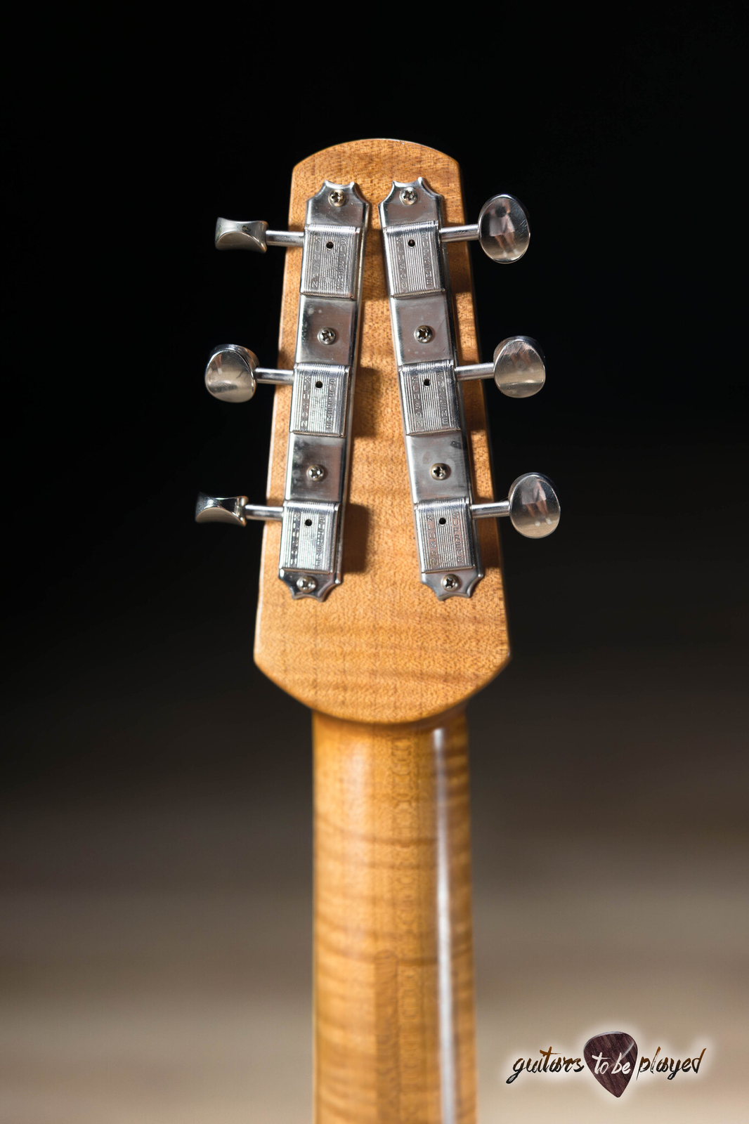 Shabat Lion Special Swamp Ash T-Style w/ Maple Neck & Lollar P-90s – Satin Black