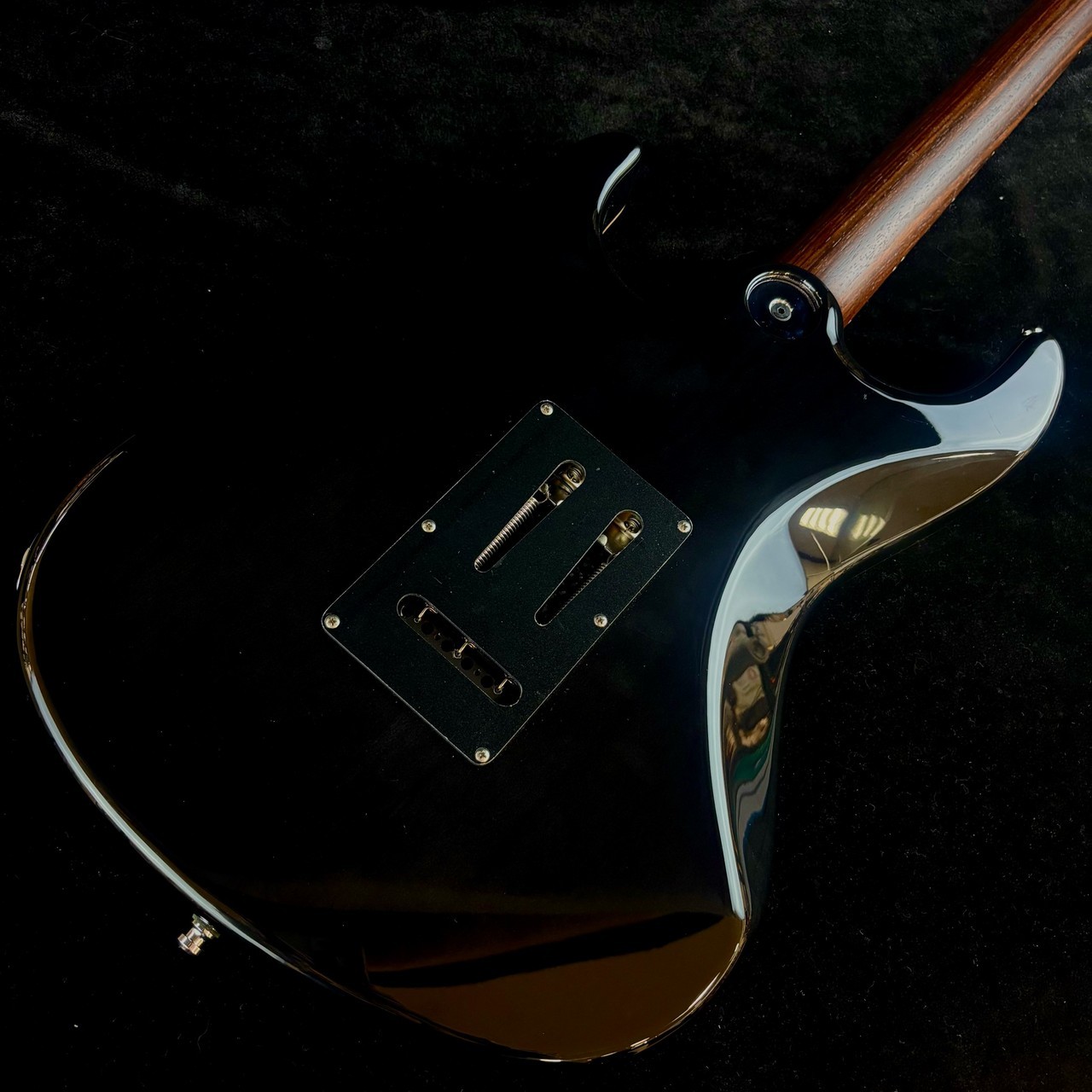 Freedom Custom Guitar RE Hydra LS 22F WNB Rosewood Neck Used