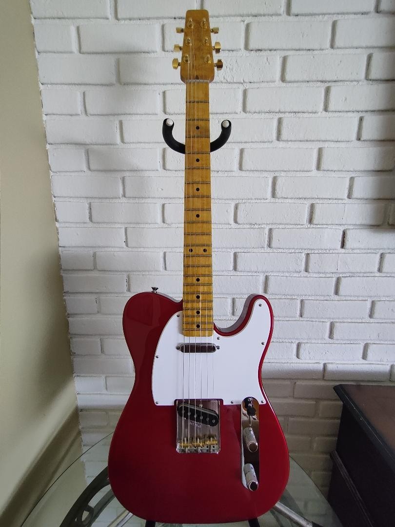 Fender Snakehead Telecaster 16 inch radius NECK FREE SHIPPING.