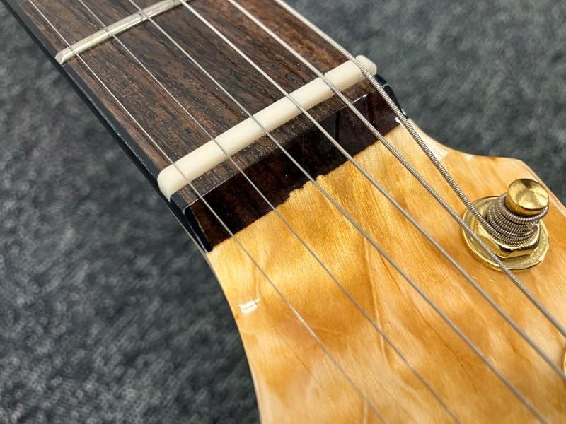 Aria Pro Ii Teg-780 Safe delivery from Japan