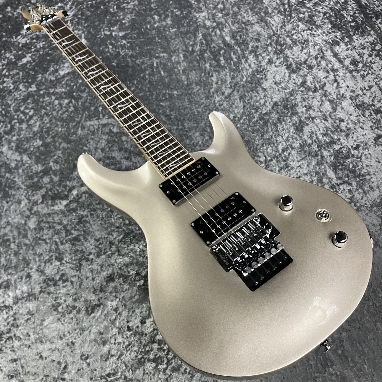 FUJIGEN(FGN) EEL-MH-TR/PLR [USED] w/hard case