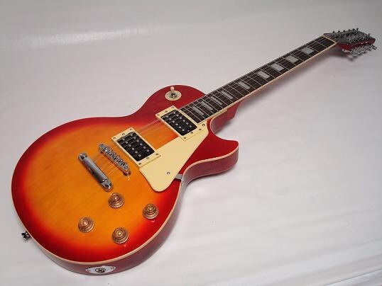 Professional 12 String Electric Guitar in Brand New