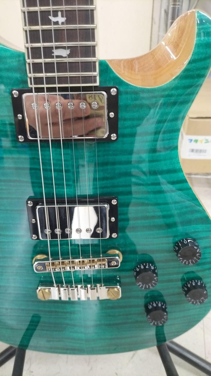 PAUL REED SMITH SE MCCARTY594 Electric Guitar