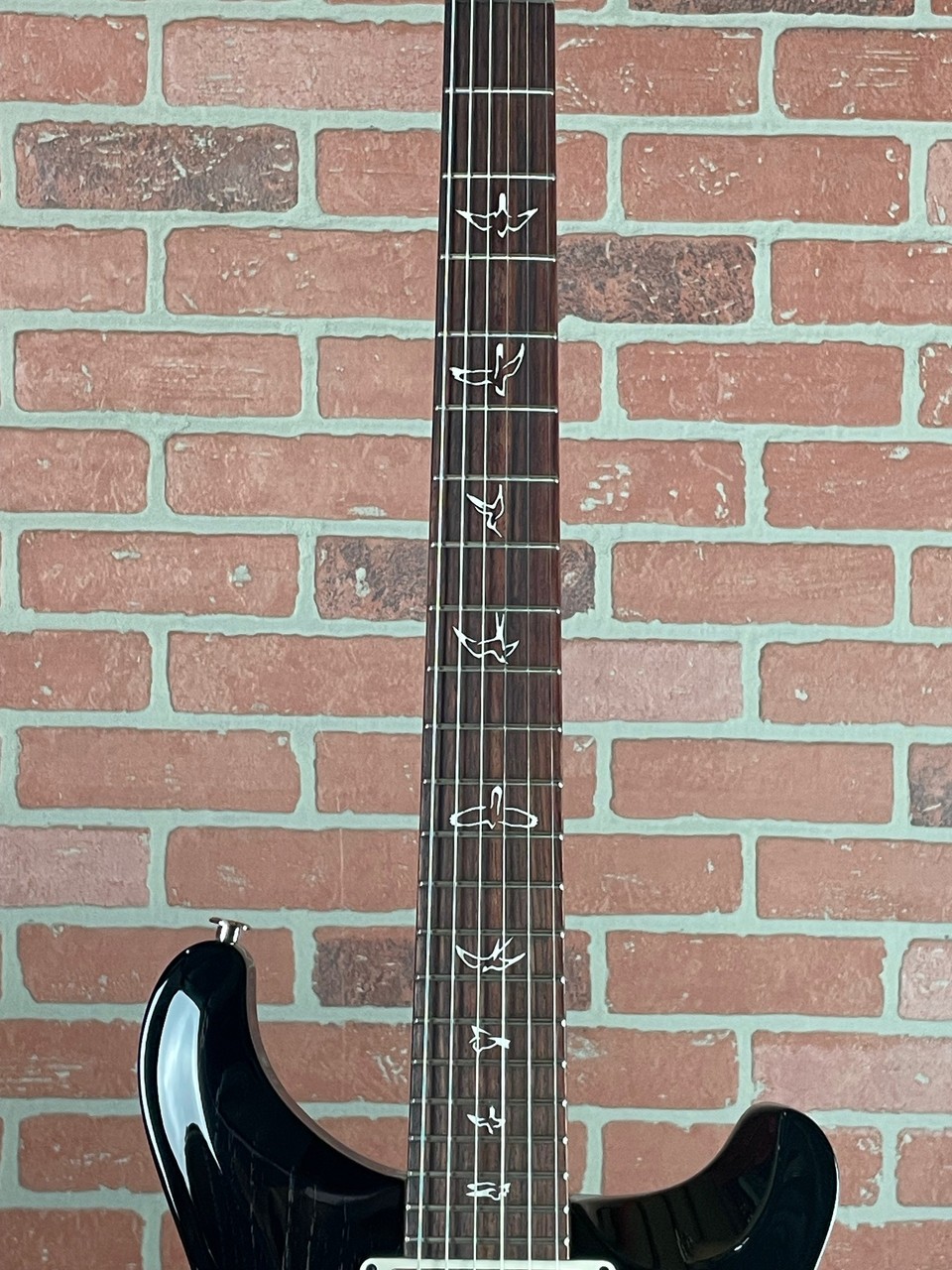 PRS Swamp Ash Special Electric Guitar – Black Doghair Smokeburst