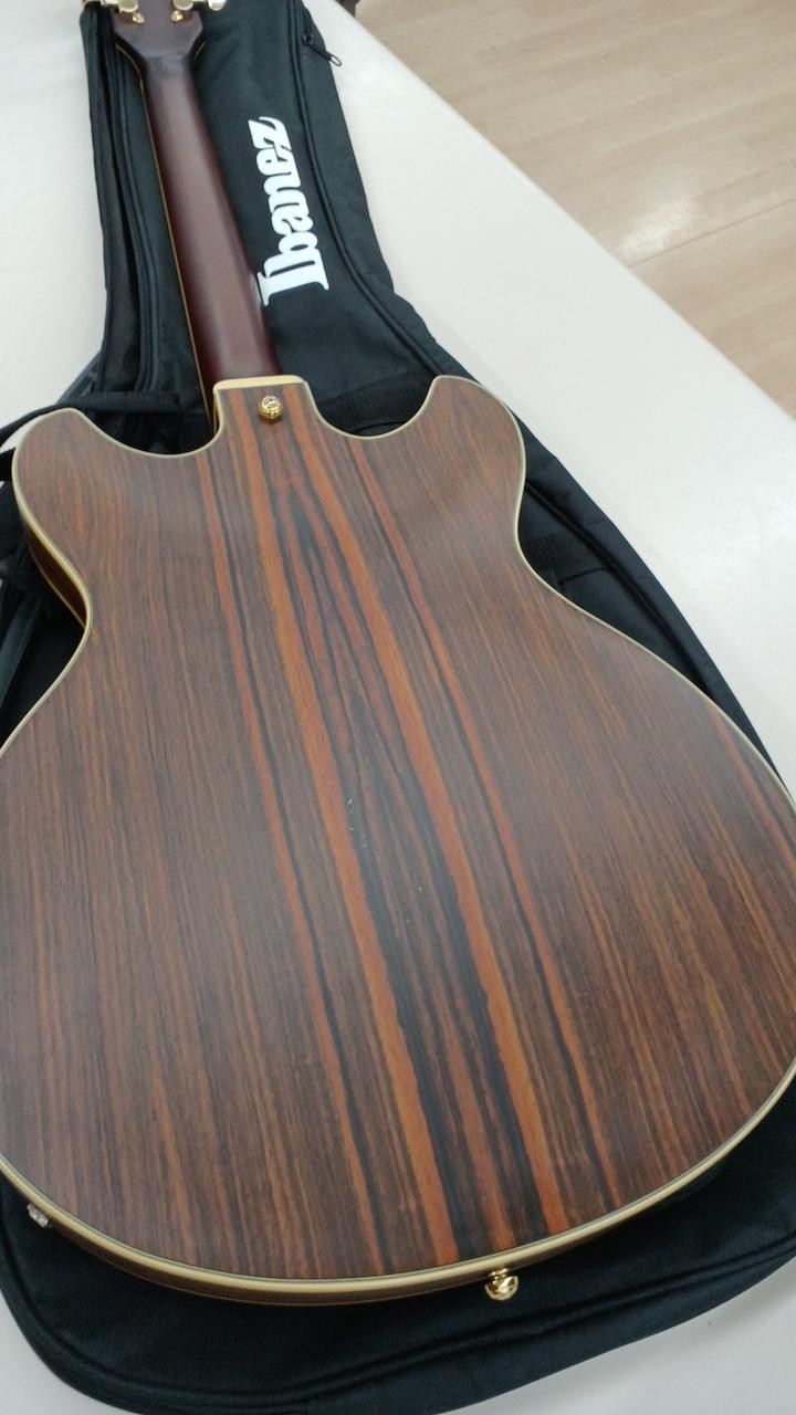 Ibanez AS93-AR 5B-01 950423