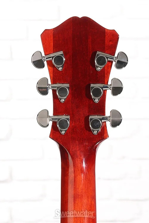 Eastman Guitars AR503CE Archtop Hollowbody Electric Guitar – Classic
