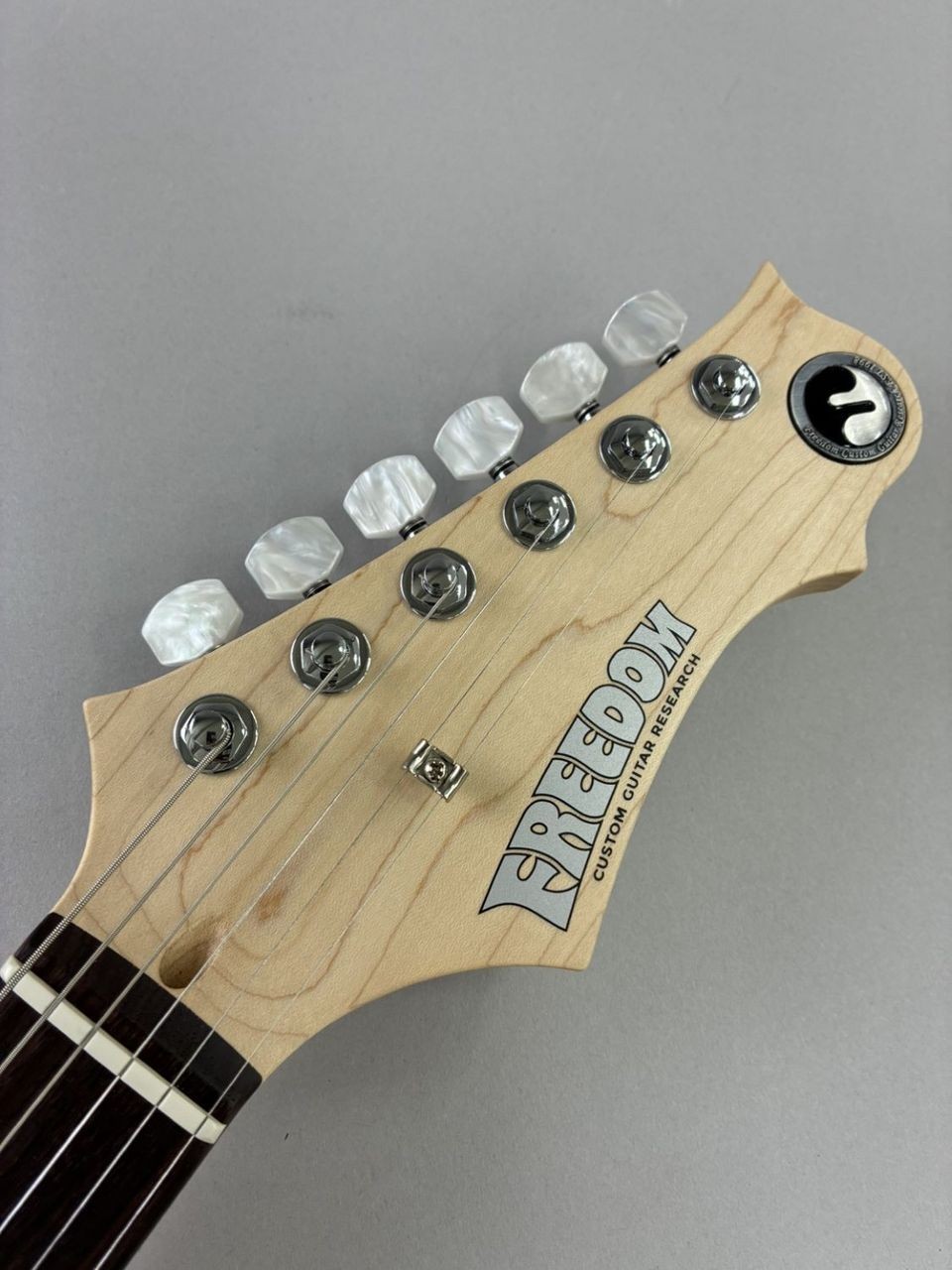 Freedom Custom Guitar RE C.S. Hydra 24F Electric Guitar