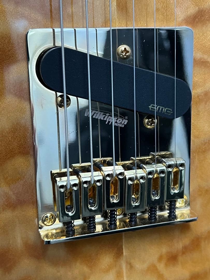 Aria Pro Ii Teg-780 Warranty With Genuine Gig Bag