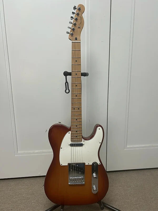 Fender Ltd Ed Player Telecaster with Roasted Maple Fretboard – Sienna Sunburst