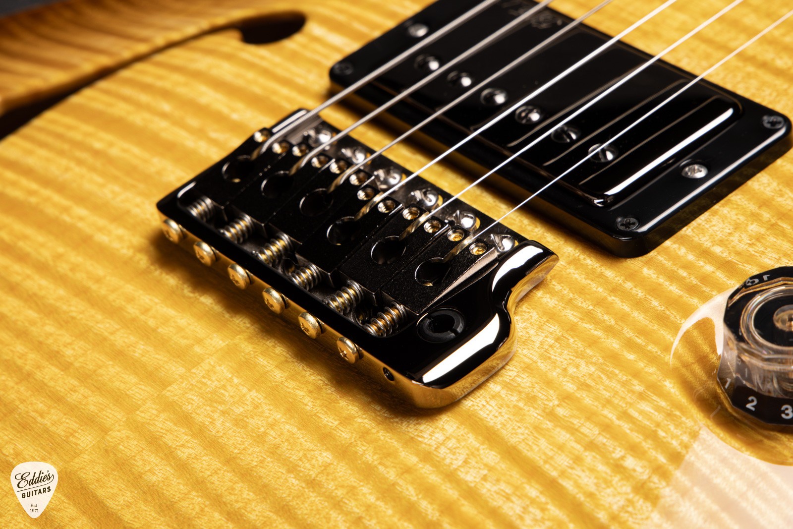PRS EG Wood Library Custom 24 Semi-Hollow Swamp Ash