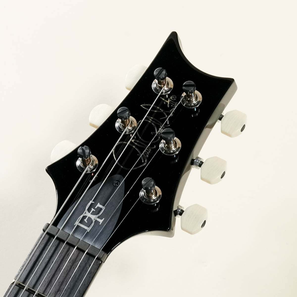 Paul Reed Smith PRS 2024 DGT Birds Inray Custom Color