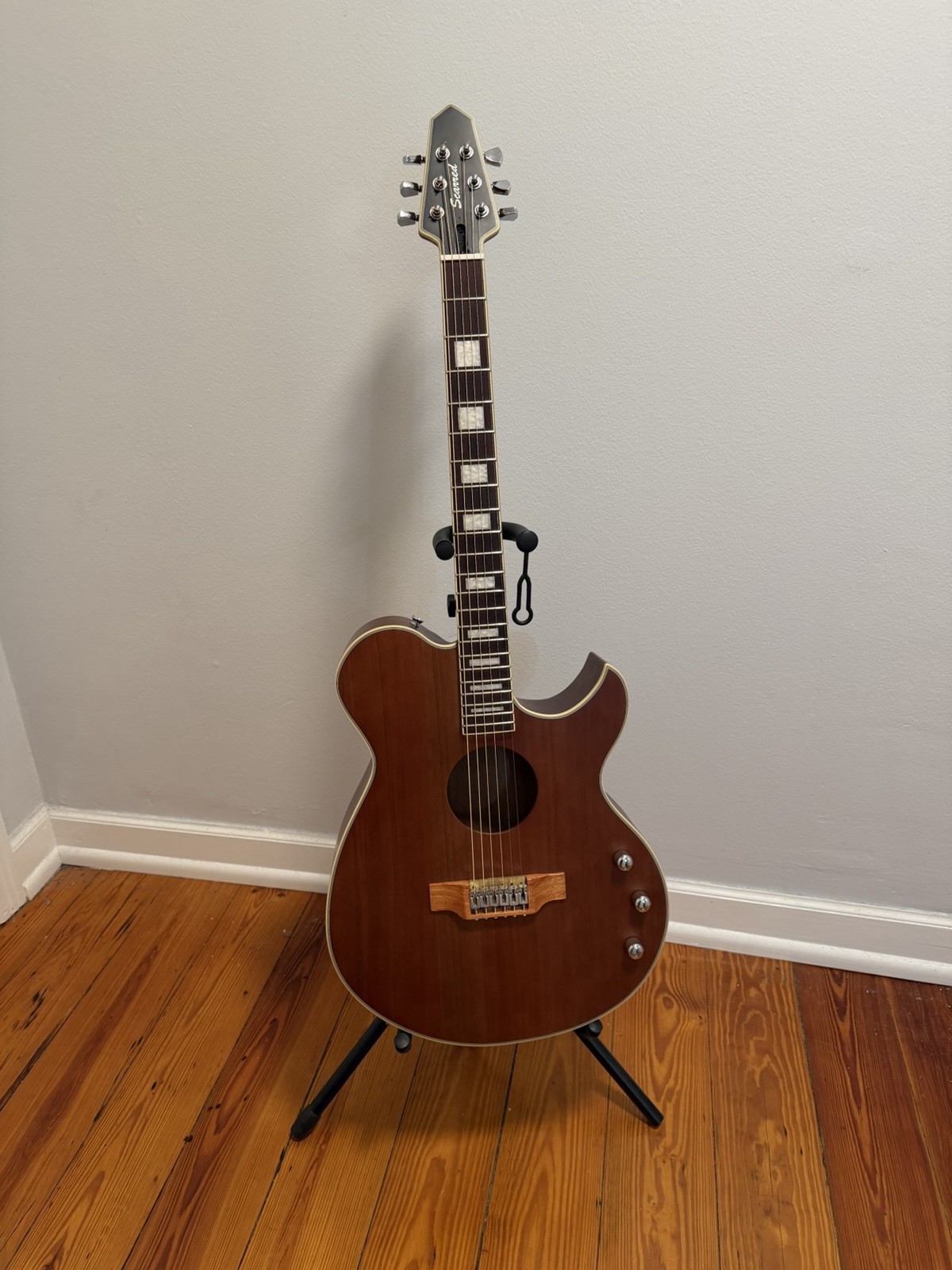 Scarred Anomaly Acoustic Electric guitar