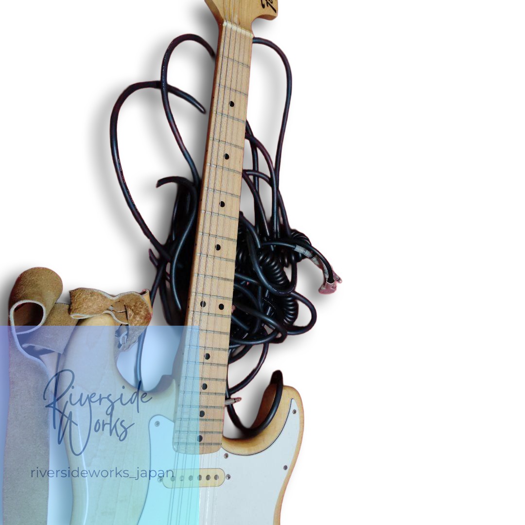 Fernandes Burny Custom Electric Guitar