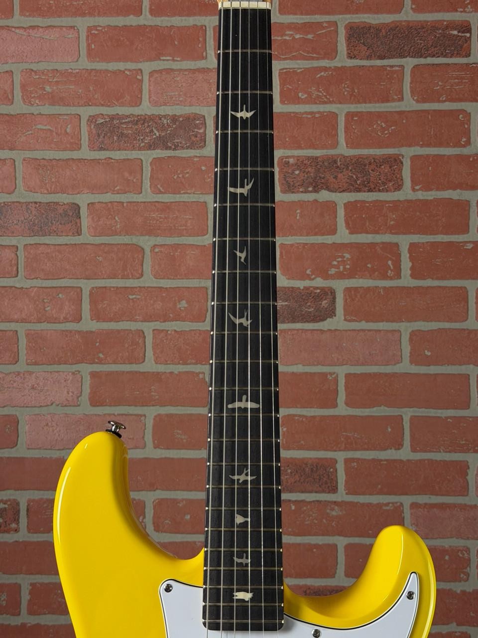PRS SE Silver Sky Rosewood Fingerboard Electric Guitar – Dandy Lion