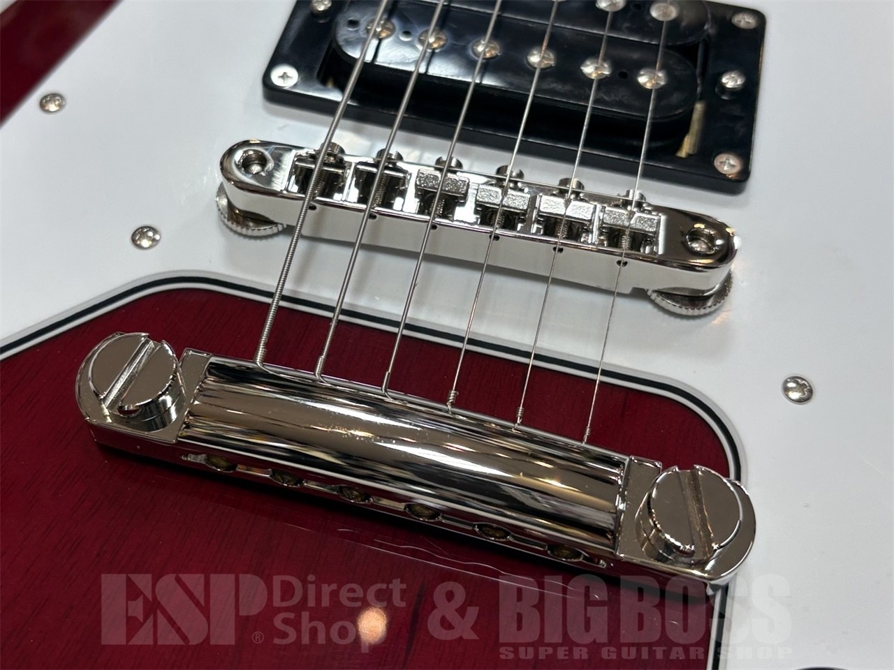 Edwards E-Fv-Ltd *Tz703