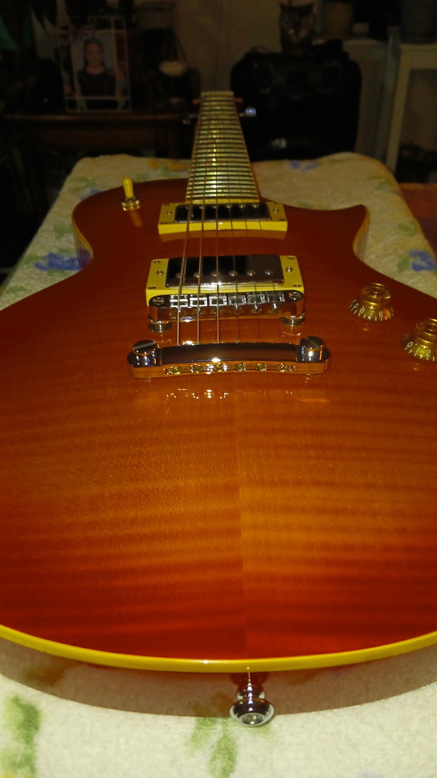 ESP LTD EC-256 FM with Rosewood Fretboard 2012 – 2015 – Cherry Sunburst
