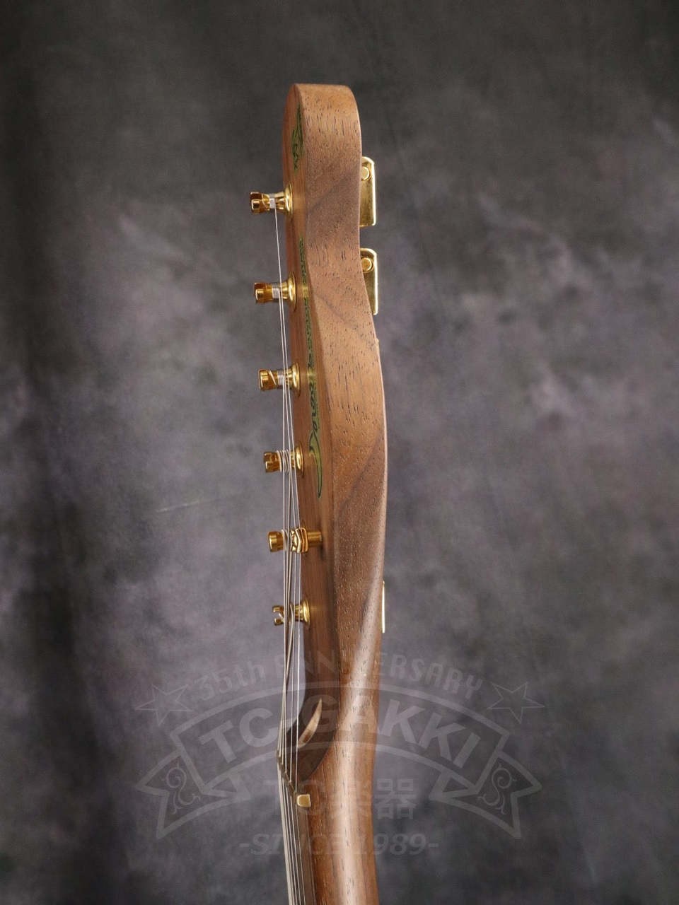 Moon TE-C Rosewood Neck Electric Guitar Part