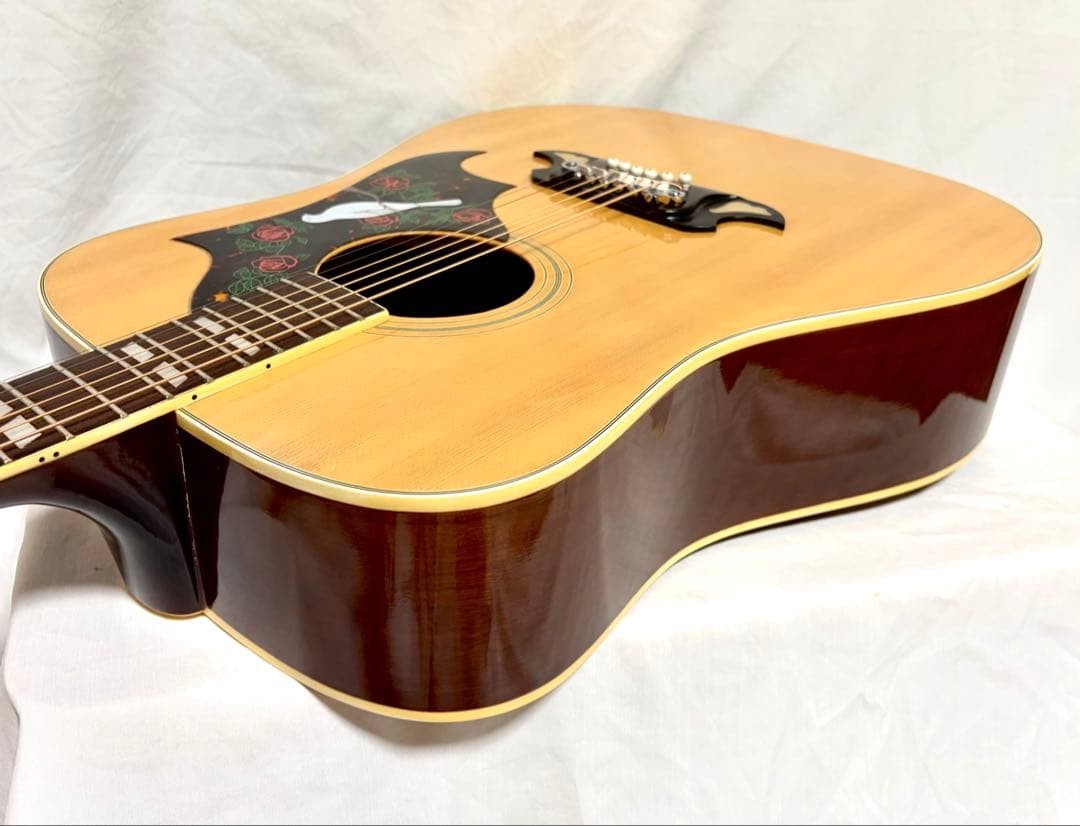 [New strings replaced] Tomson acoustic guitar TG-250 DOVE type Kiso Suzuki