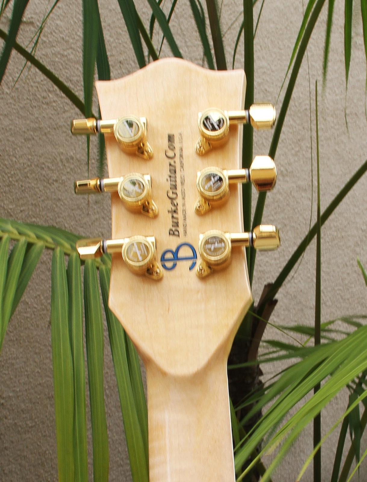 LP Style Figured Maple Top Electric Guitar