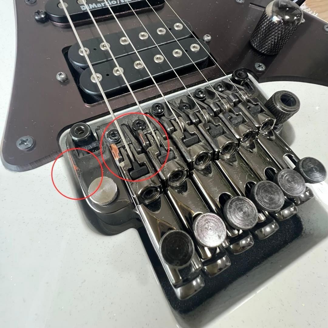 Limited Production Model Ibanez Prestige Rg2450Mz