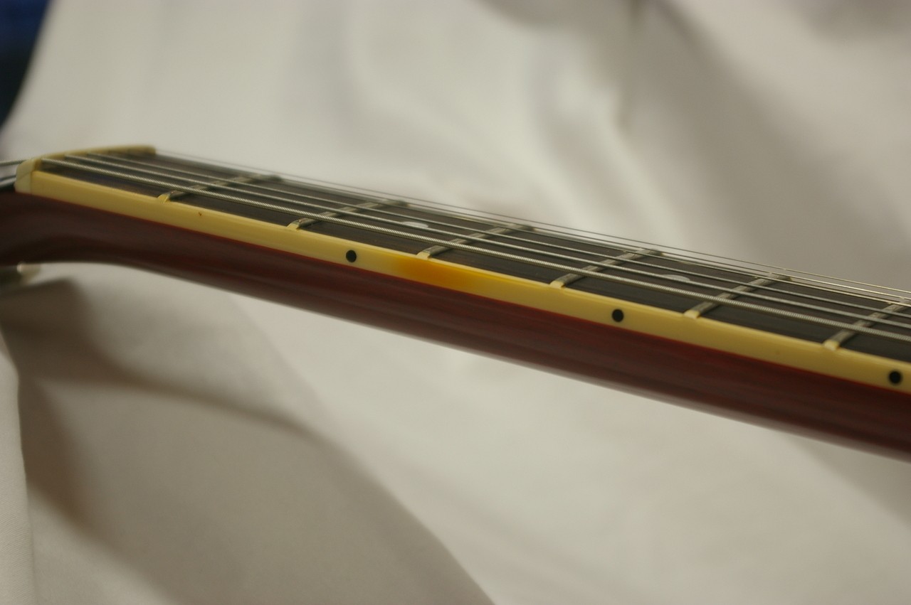 Gibson ES-339 Semi Hollow Electric Guitar