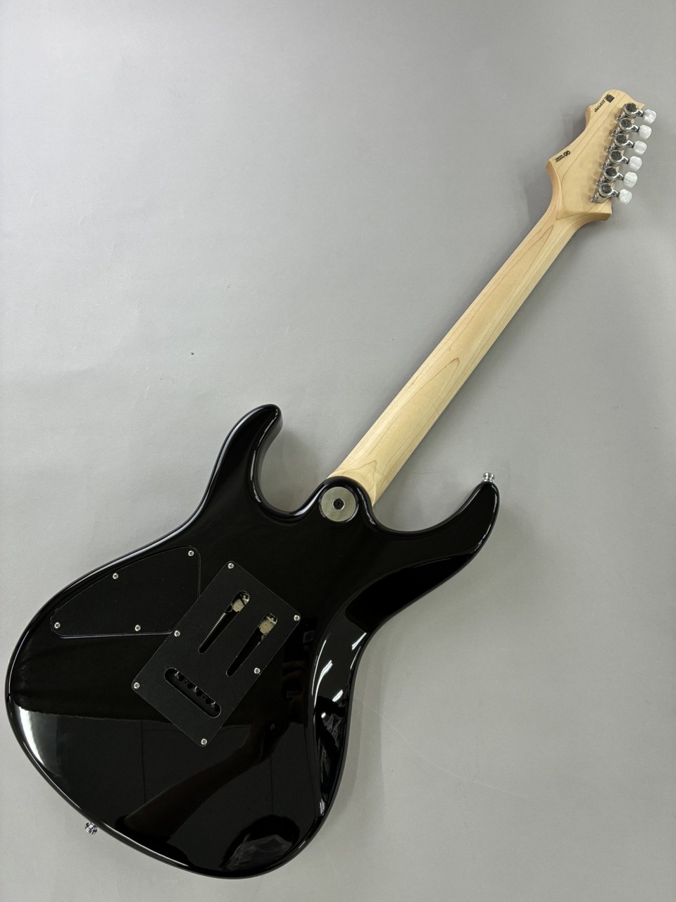 Freedom Custom Guitar RE C.S. Hydra 24F Electric Guitar