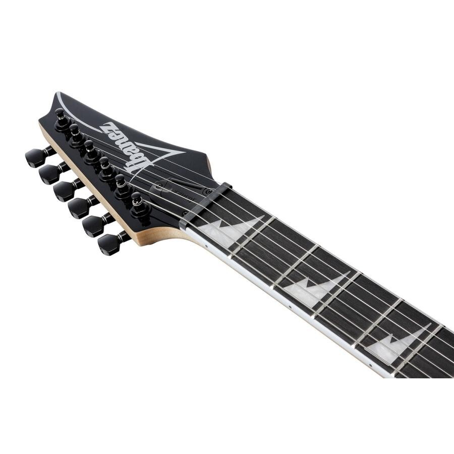 Ibanez RGV250 SV Silver Electric Guitar with Gig Bag From JAPAN