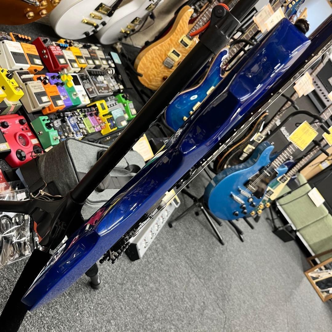 【11655】Grass Roots by ESP Forest Blue