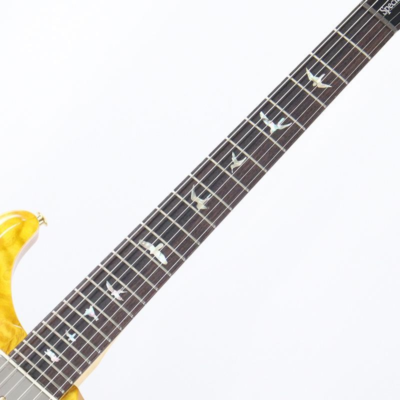 Paul Reed Smith (PRS) Wood Library Special Semi-Hollow (Honey Gold) SN.0401651