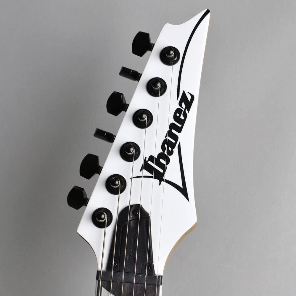 Ibanez RGV250 WH White Electric Guitar with Gig Bag From JAPAN