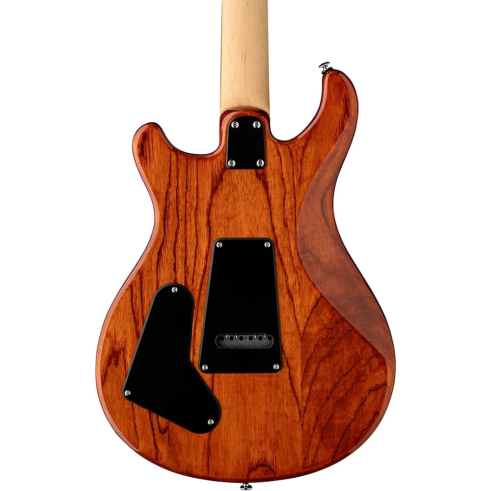 PRS SE Swamp Ash Special Electric Guitar Vintage Sunburst 197881528102 RF