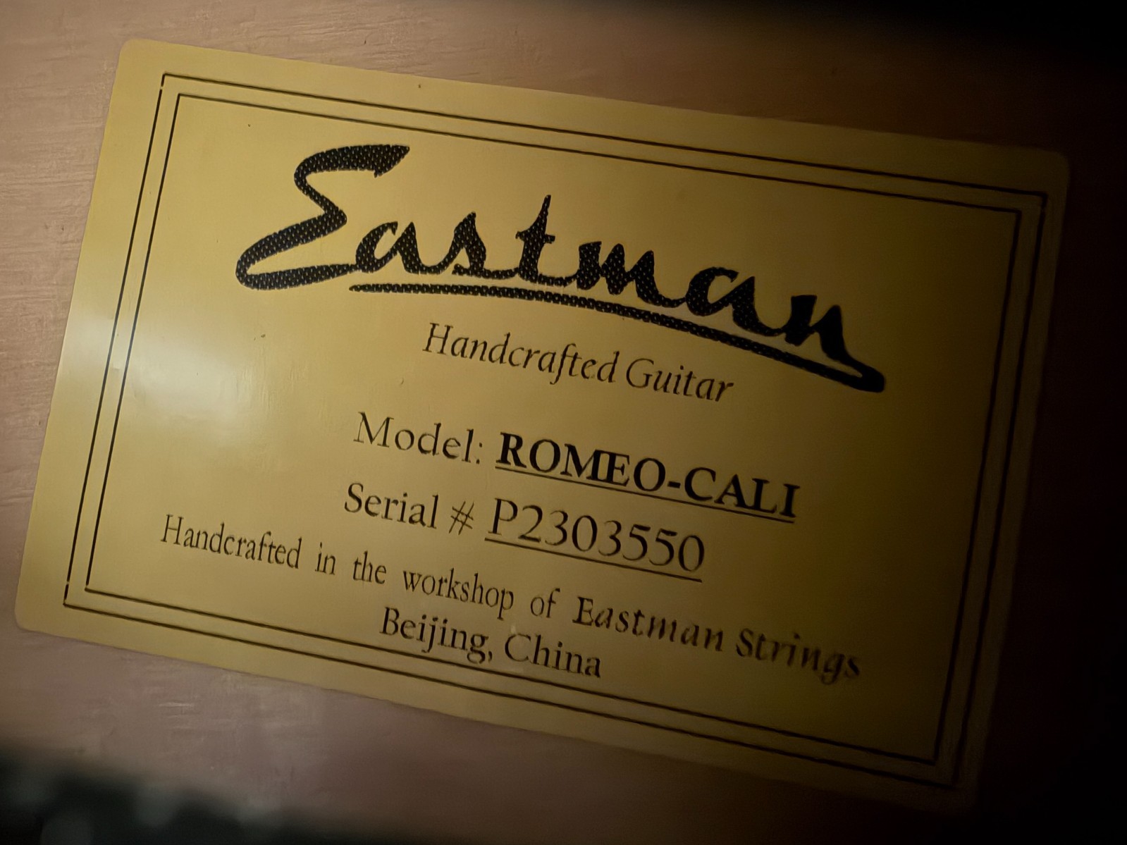 Eastman Romeo-California w/ Bare Knuckle Pickups Thinline w/ Case & Pro Setup!