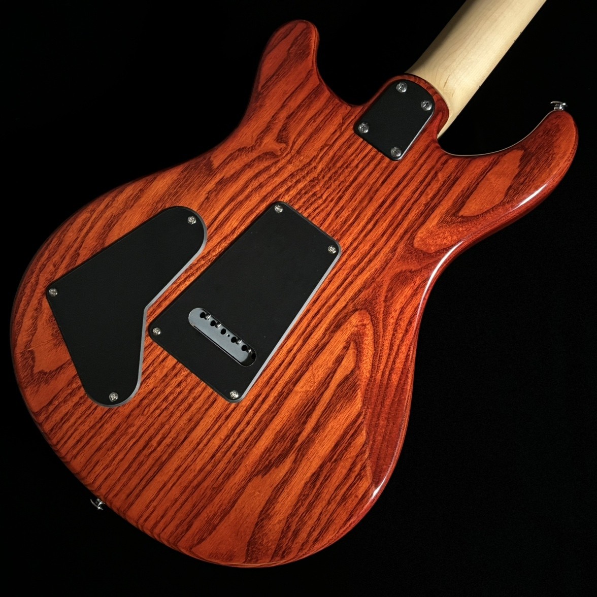 Paul Reed Smith PRS SE Swamp Ash Special Vintage Sunburst – Fast Shipping!