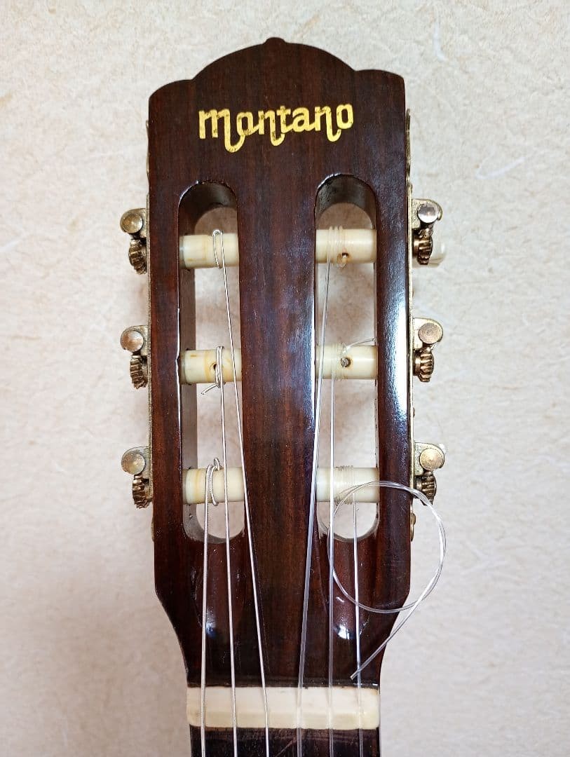 Takamine montano Toku No. 1 with hard case [rare item]