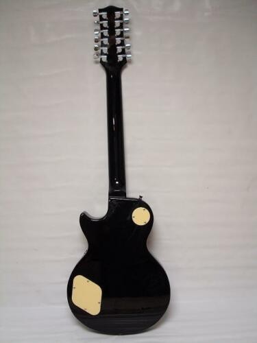 Professional 12 String Electric Guitar in Brand New