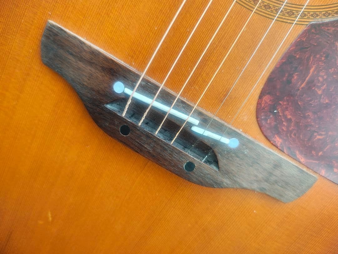 TAKAMINE NPT-012BS Electric acoustic guitar with PU.2 set Tsuyoshi Nagabuchi
