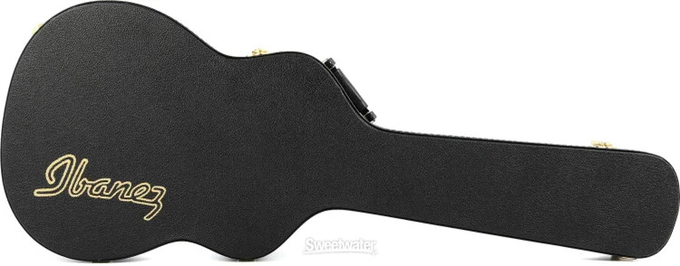 Ibanez TM50C Hardshell Acoustic Guitar Case – Talman Series