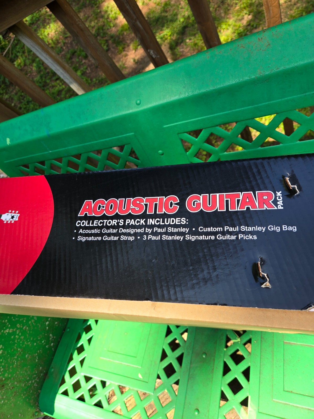 Paul Stanley Washburn accoustic Guitar PS9B