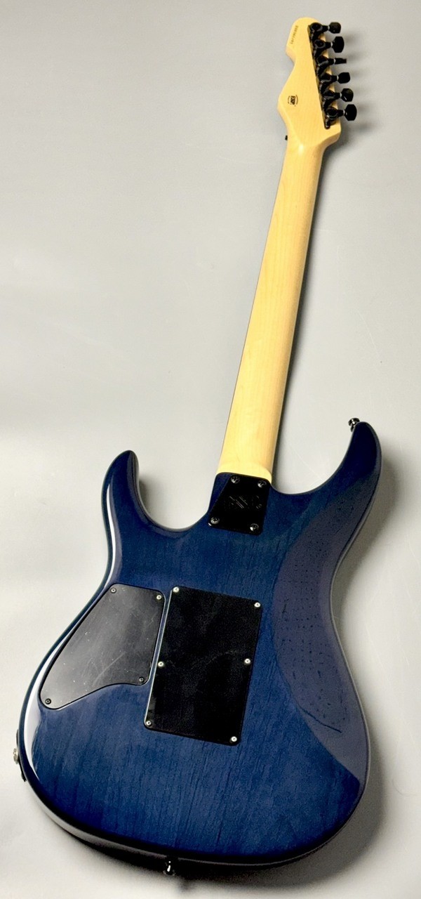 E-II SN-2 Blue Natural Fade (no260526)