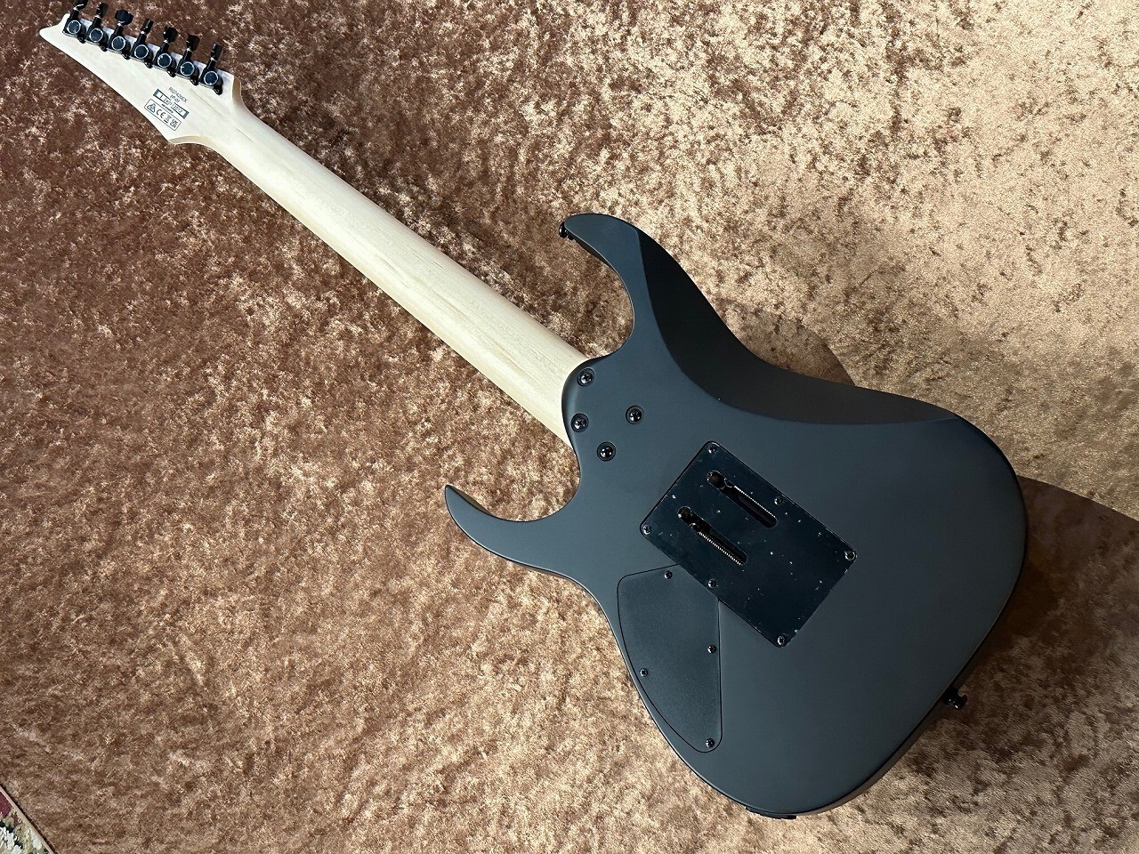 IBANEZ RG Standard/RG7420EX-BKF(Black Flat) 7-string Electric Guitar w/Gig bag