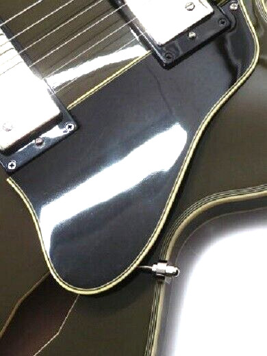 NEW Epiphone Shinichi Ubukata ES-355 Custom Bigsby ver.02 Olive Drab Hard Case