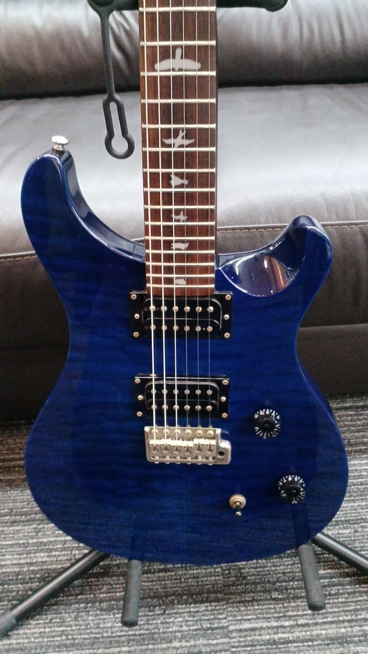 PRS SE CUSTOM 24 25TH ANNIVERSARY Electric Guitar