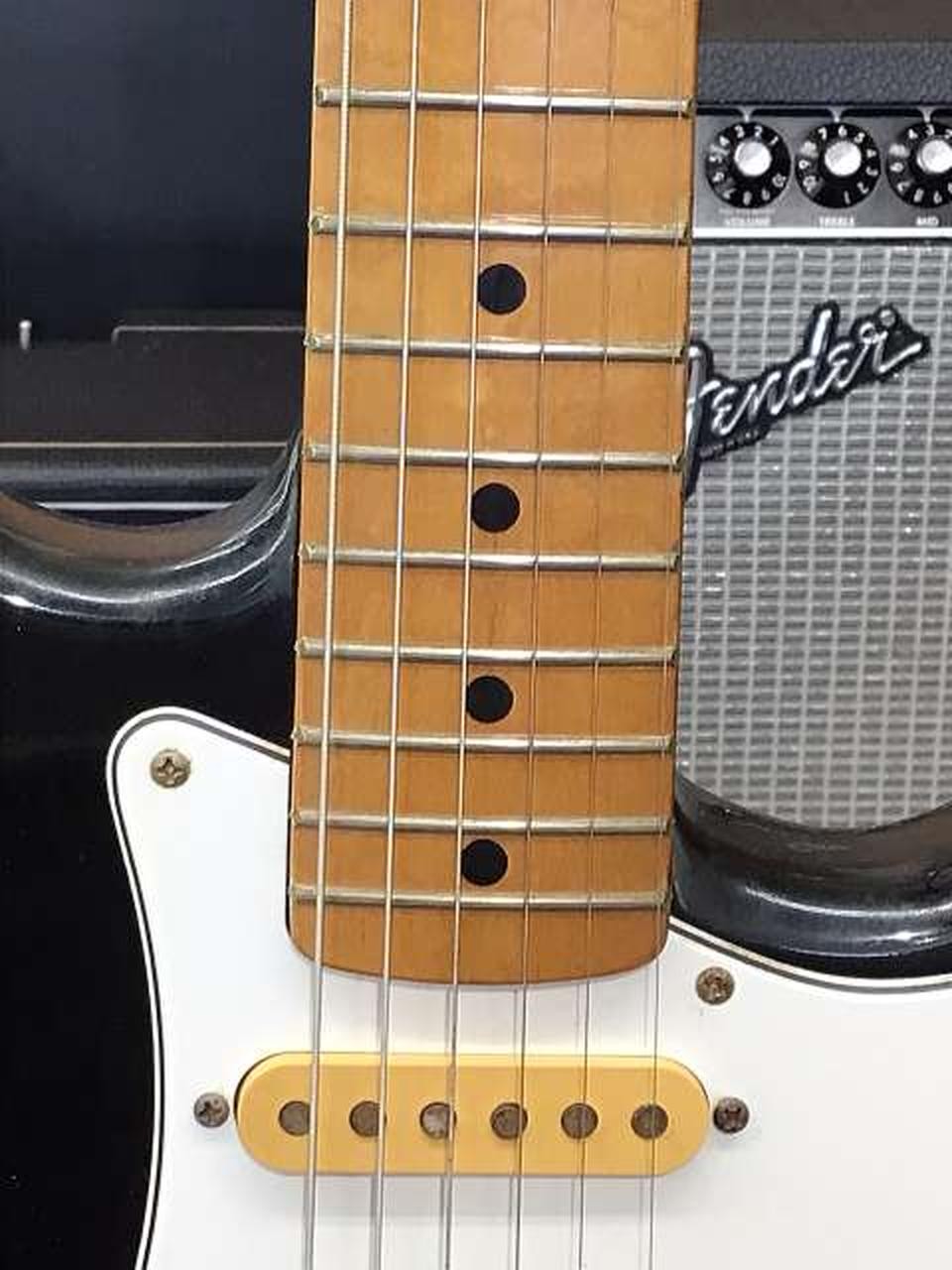 FERNANDES / FST-50 (no260331)