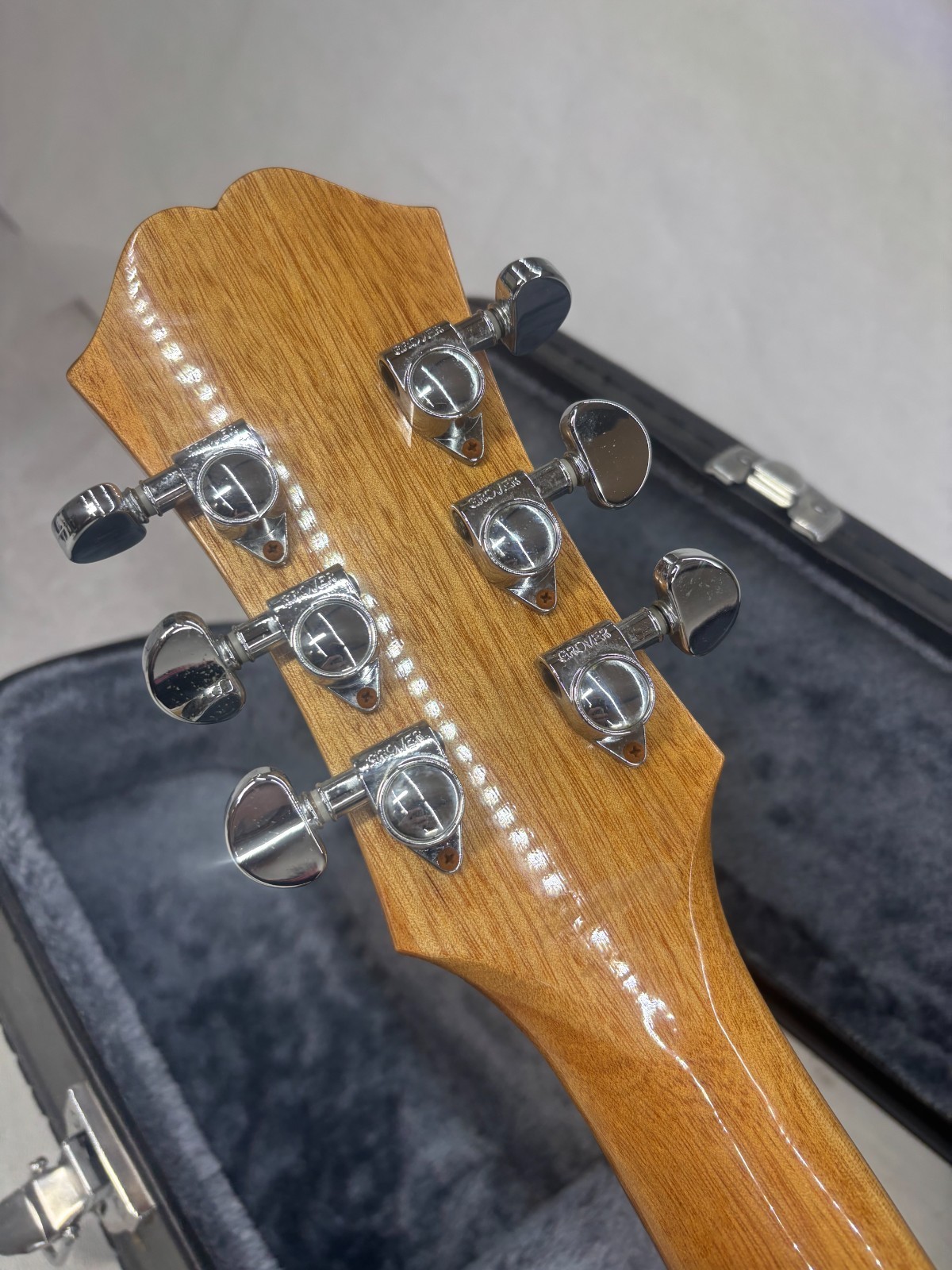 Epiphone Dot W/ Hard Case