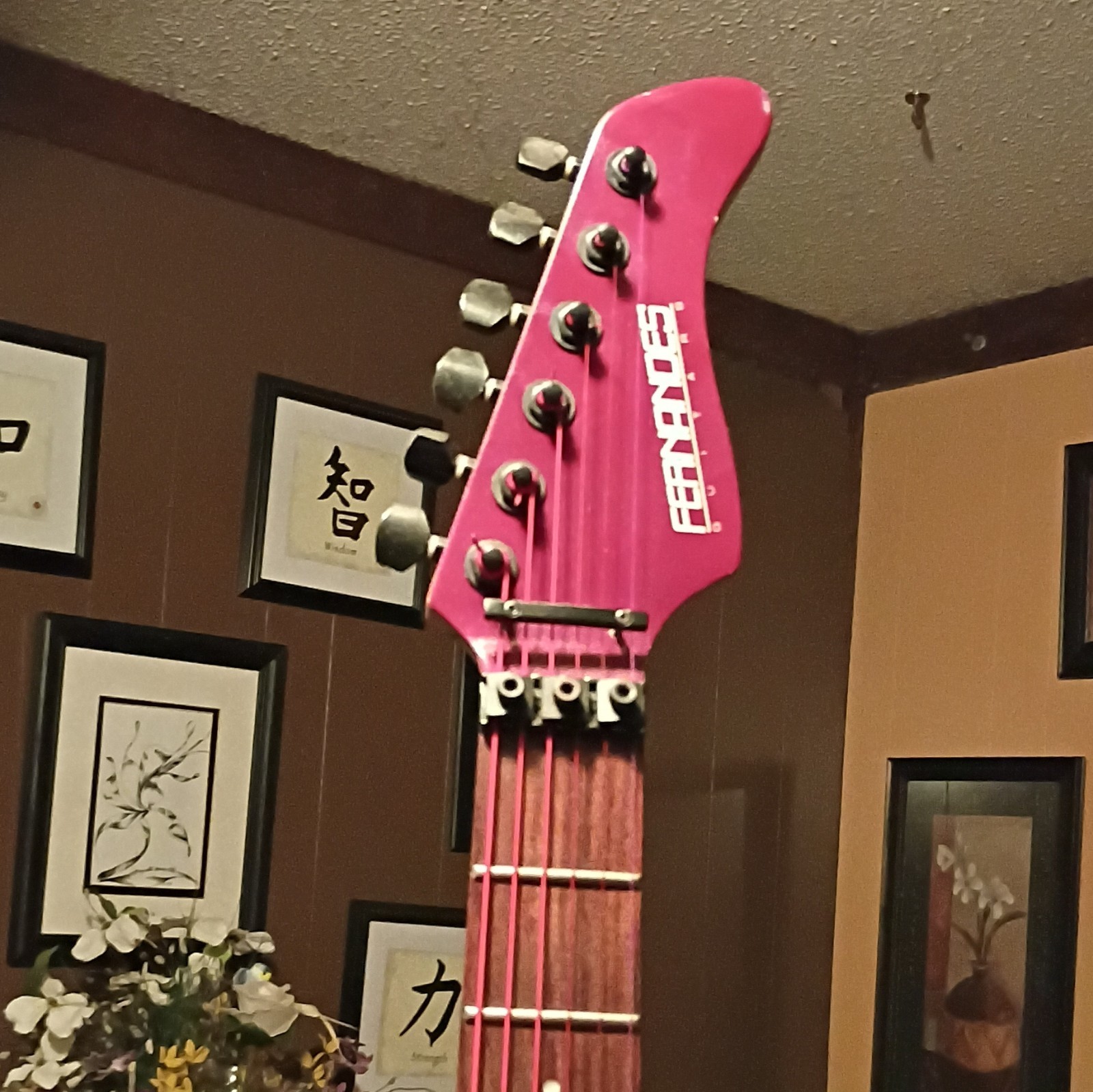 Fernandes 6-String Solid Body Right-Handed w/whammy bar,new tuners ,floyd rose.