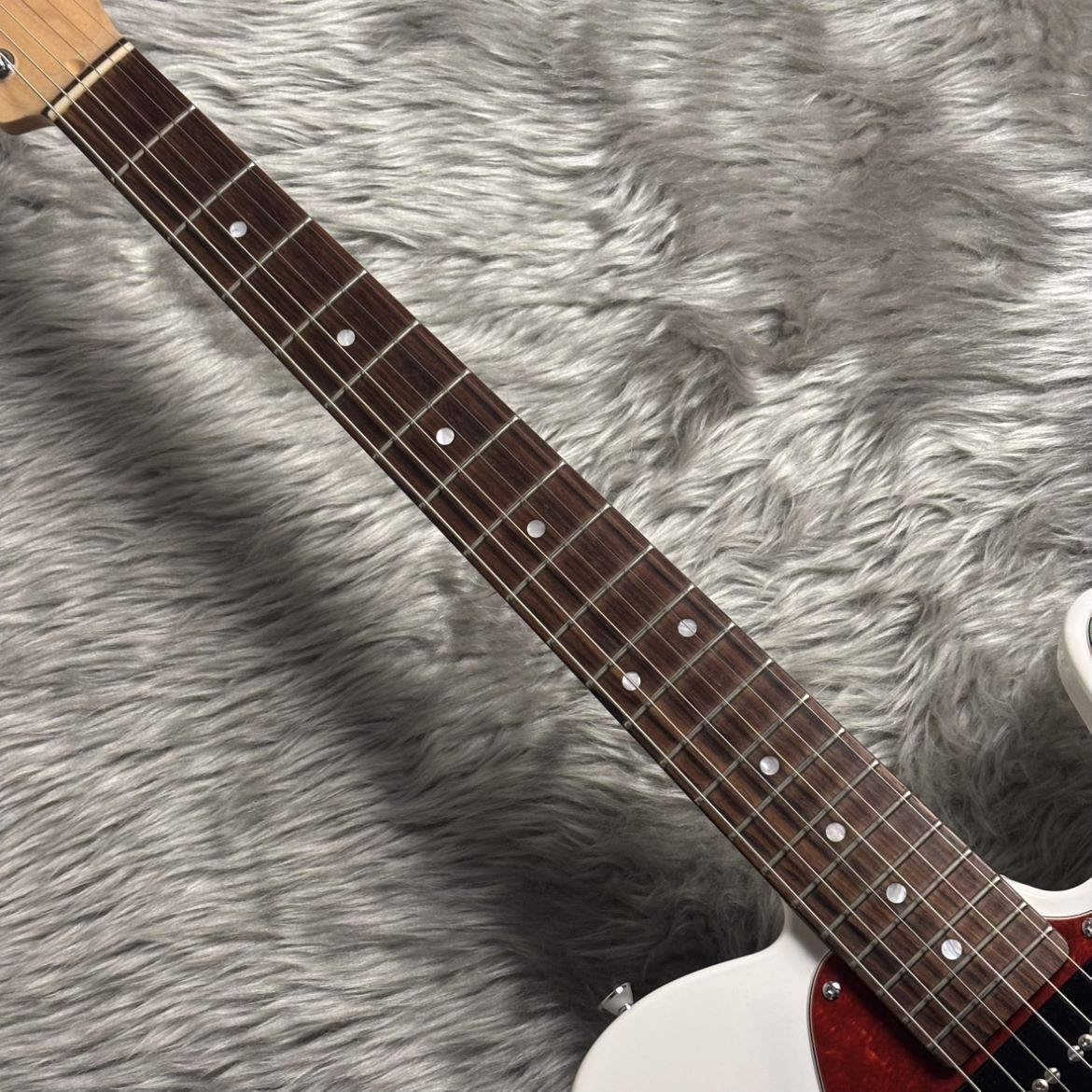 Used Provision / Tecmodel Mozo Wonder City Store 2500002503106 No.RG1923